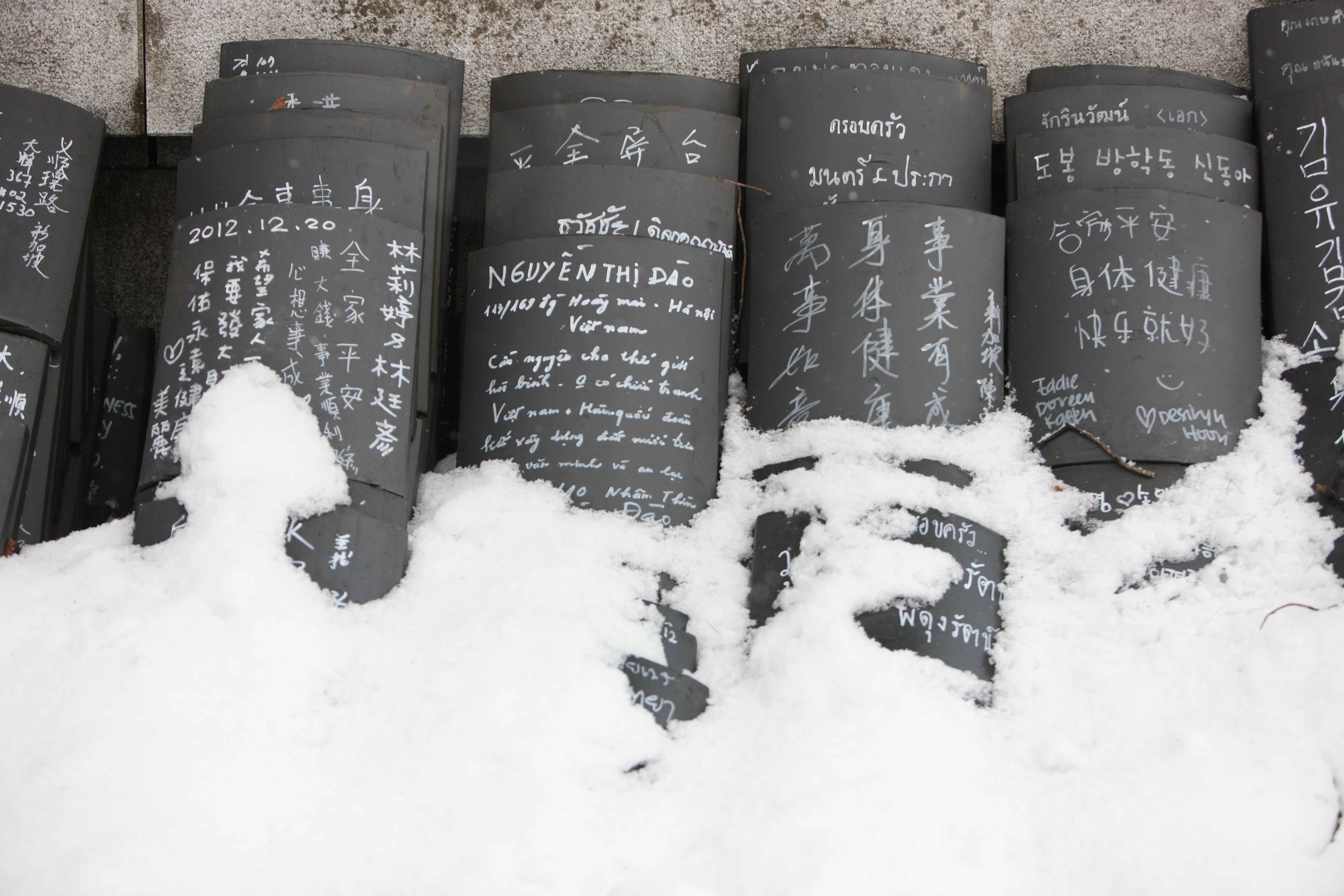 강원도 동부지역 3일투어(강릉·속초·삼척) - 서울출발