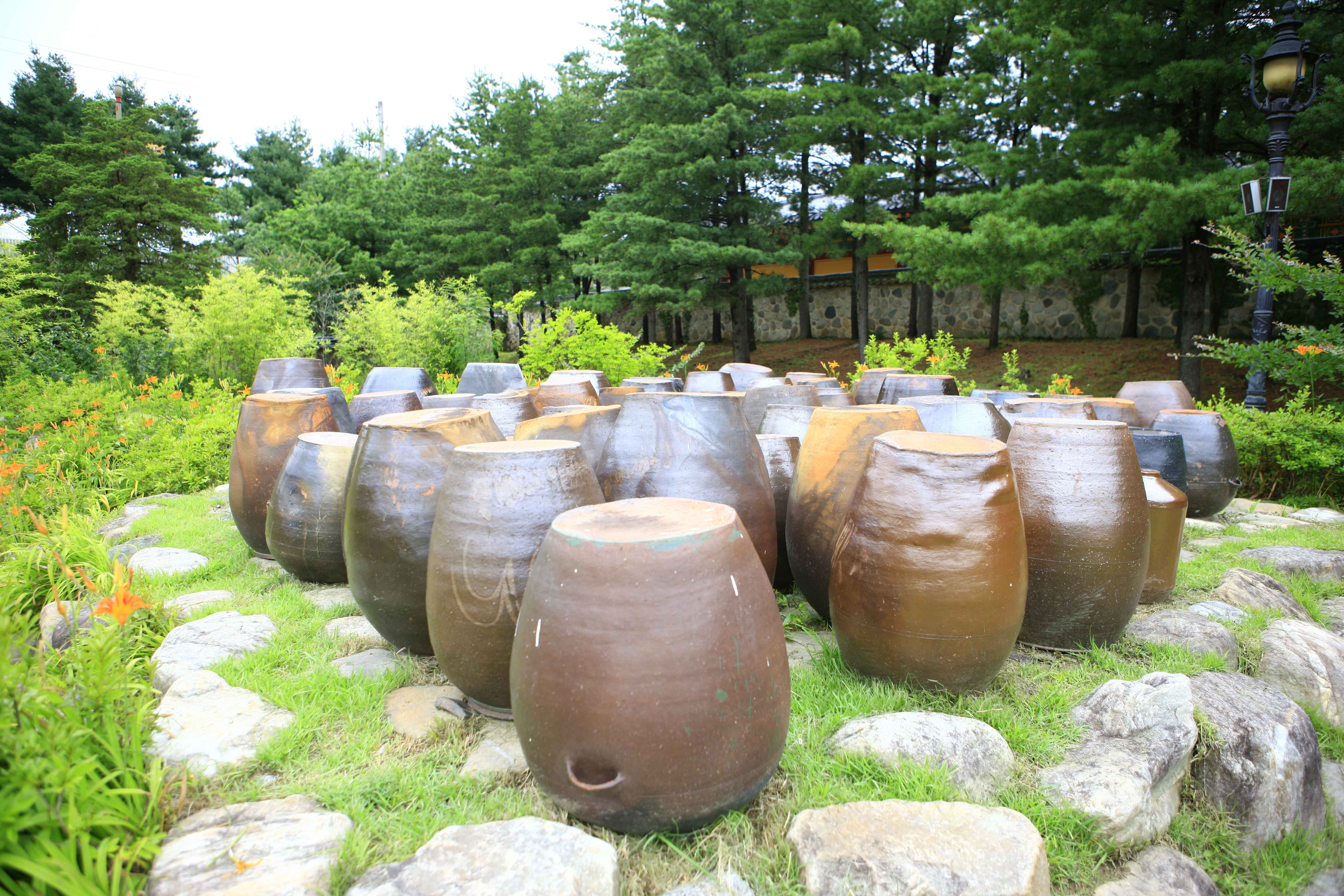 강원도 동부지역 3일투어(강릉·속초·삼척) - 서울출발