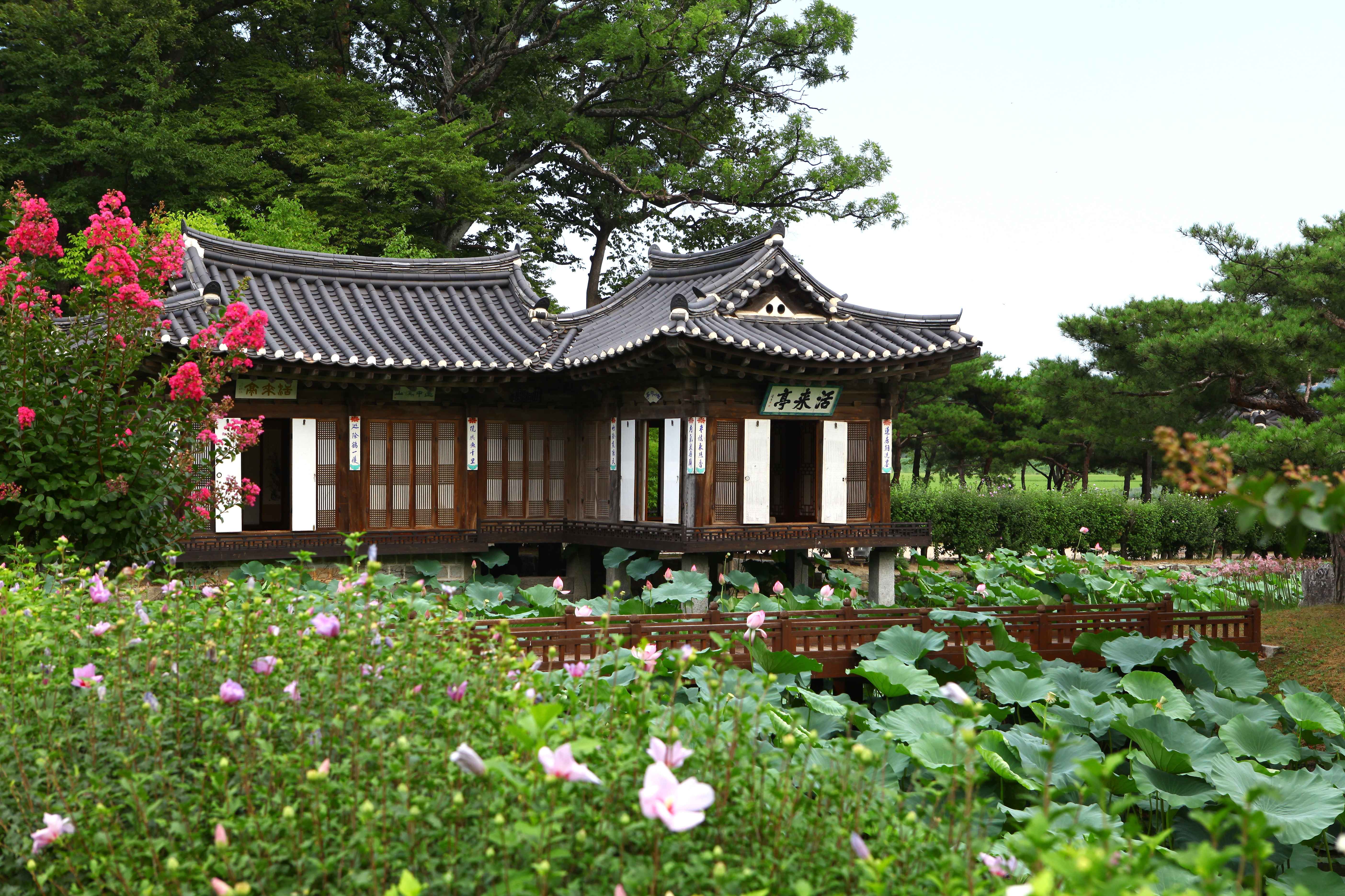 강원도 동부지역 3일투어(강릉·속초·삼척) - 서울출발