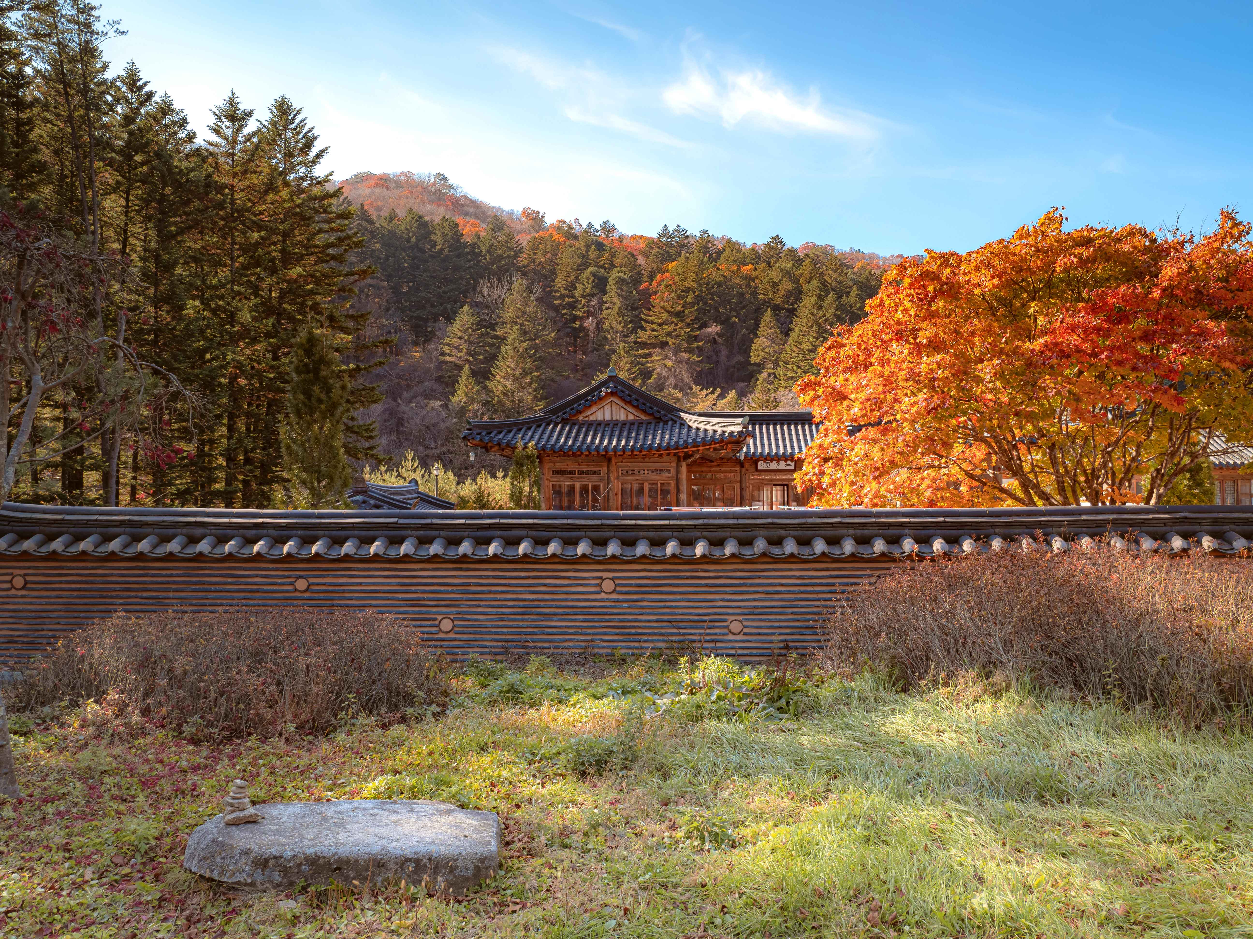 강원도 동부지역 3일투어(강릉·속초·삼척) - 서울출발