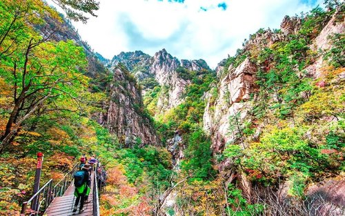 강원도 2일투어(인제·속초·원대리 자작나무숲·설악산) - 서울출발