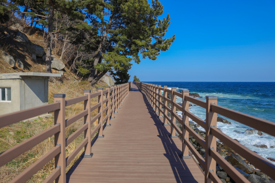 강원도 2일투어(인제·속초·원대리 자작나무숲·설악산) - 서울출발