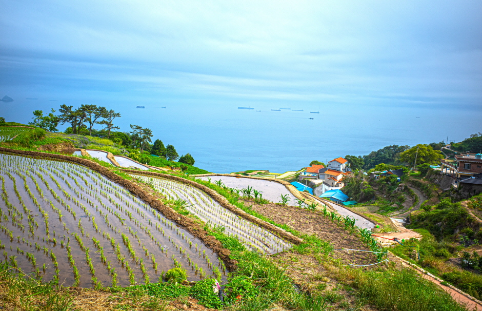 경상남도 2일 투어(한려뱃길) – 서울 출발